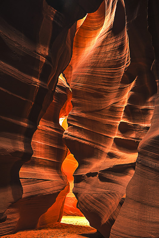 The Path by Jim Atkinson